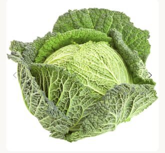 Savoy Cabbage