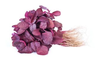 Red Spinach (Laal Shaag)