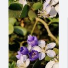 d228638c-6903-4b6d-bc17-39cfd88786fc